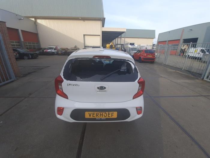 Kia Picanto 1.0 DPi 12V Sloopvoertuig (2022, Wit)