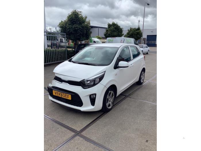 Kia Picanto 1.0 DPi 12V Sloopvoertuig (2022, Wit)