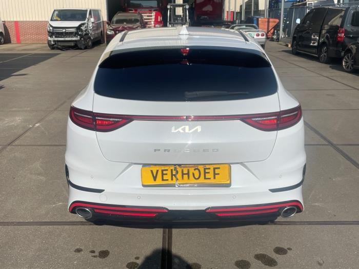 Kia Proceed 1.6 T-GDI 16V DCT Sloopvoertuig (2022, Wit)