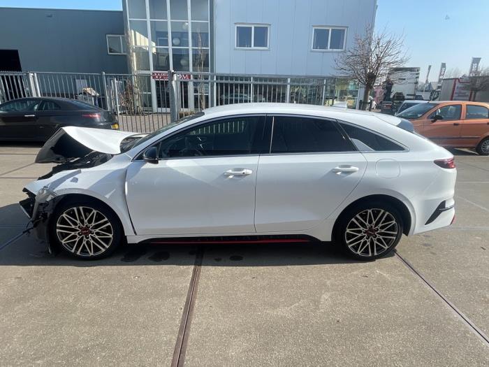 Kia Proceed 1.6 T-GDI 16V DCT Sloopvoertuig (2022, Wit)
