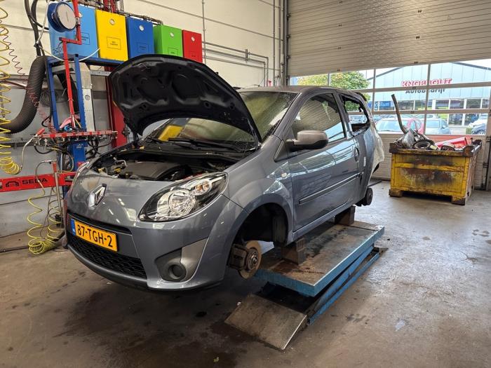 Renault Twingo II 1.2 16V Sloopvoertuig (2012, Blauw)