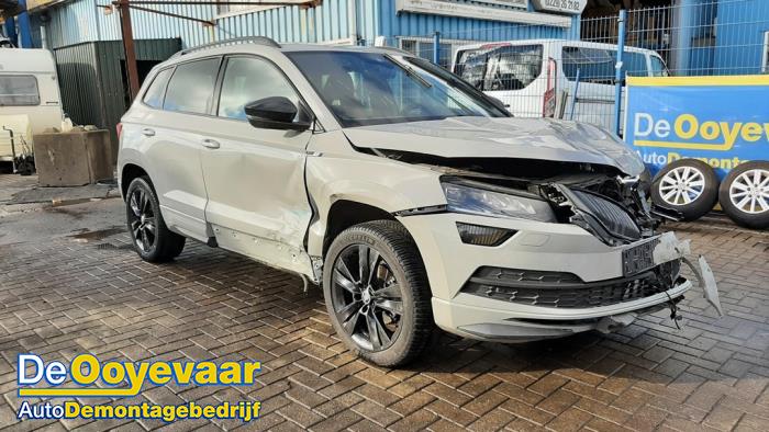 Skoda Karoq 1.6 TDI 16V Sloopvoertuig (2019, Grijs)