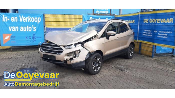 Ford EcoSport 1.0 EcoBoost 12V 125 Sloopvoertuig (2018, Beige)