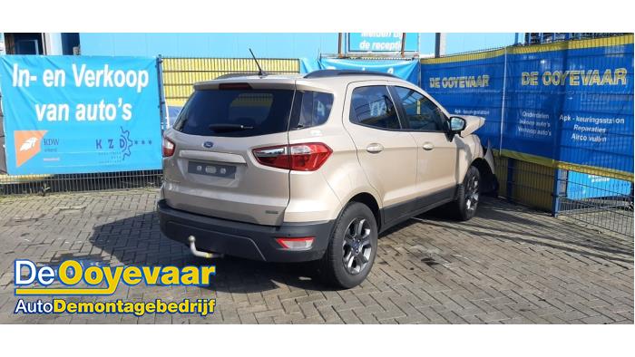 Ford EcoSport 1.0 EcoBoost 12V 125 Sloopvoertuig (2018, Beige)