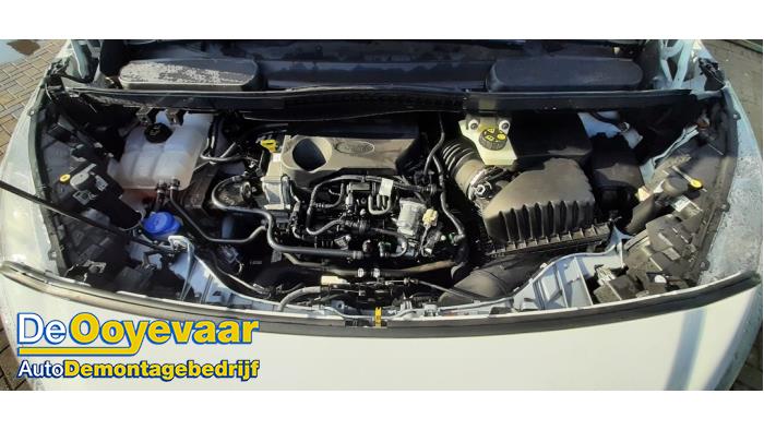 Ford Transit Connect 1.0 EcoBoost 12V Sloopvoertuig (2019, Wit)