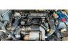 Peugeot Expert 1.6 Blue HDi 95 16V Sloopvoertuig (2019, Wit)