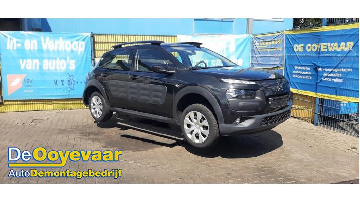 Citroen C4 Cactus 1.2 PureTech 82 12V  (Sloop)