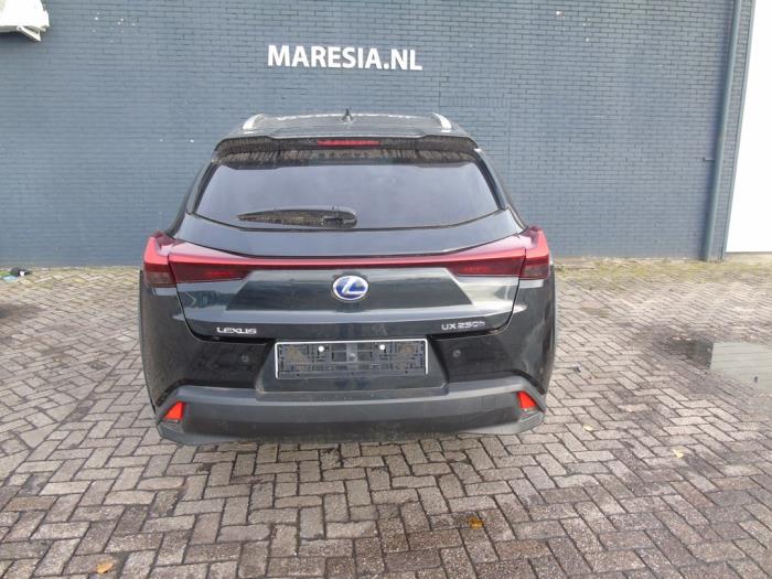 Lexus UX 250h 2.0 16V Sloopvoertuig (2020, Metallic, Zwart)