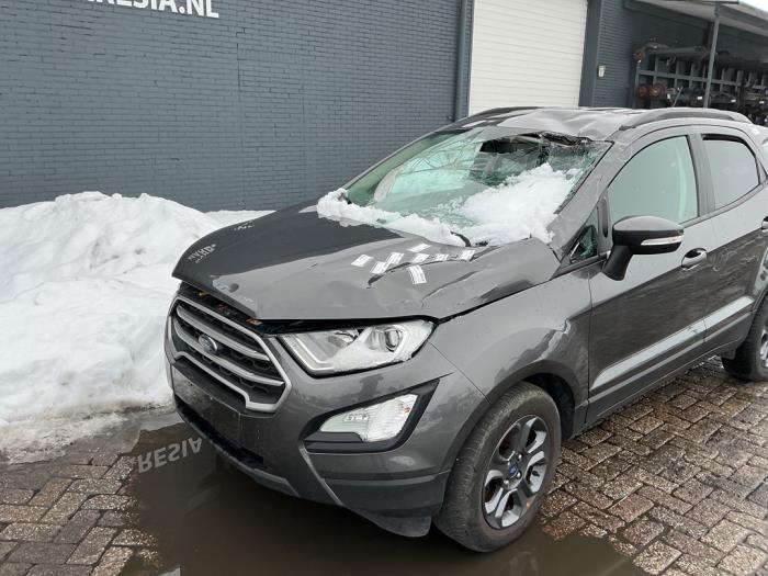 Ford EcoSport 1.5 TDCi EcoBlue Sloopvoertuig (2019, Grijs)