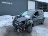 Fiat Panda/Pandina 1.0 Hybrid Sloopvoertuig (2024, Groen)