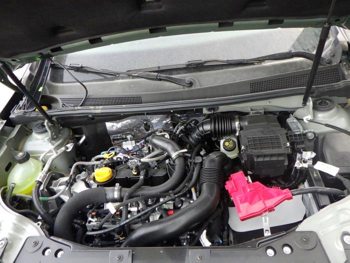 Dacia Duster 1.0 TCE 100 Bi-Fuel, Eco-G 12V Sloopvoertuig (2023, Groen)