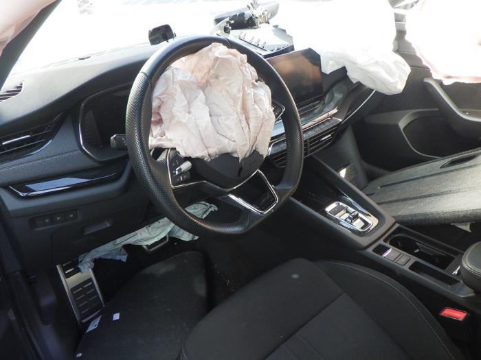 Skoda Octavia Combi 2.0 TDI GreenTec 16V Sloopvoertuig (2024, Grijs)