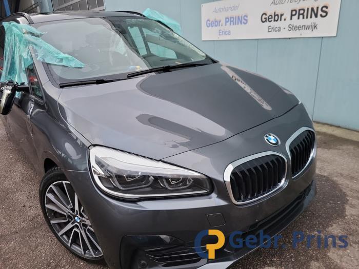 BMW 2 serie Gran Tourer 220i 2.0 TwinPower Turbo 16V Sloopvoertuig (2019, Grijs)