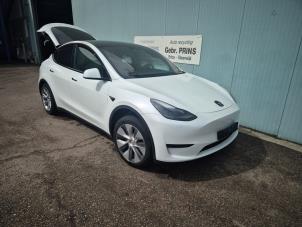 Tesla Model Y RWD  (Sloop)