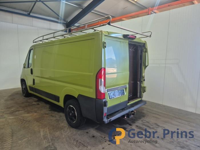 Foto donor auto