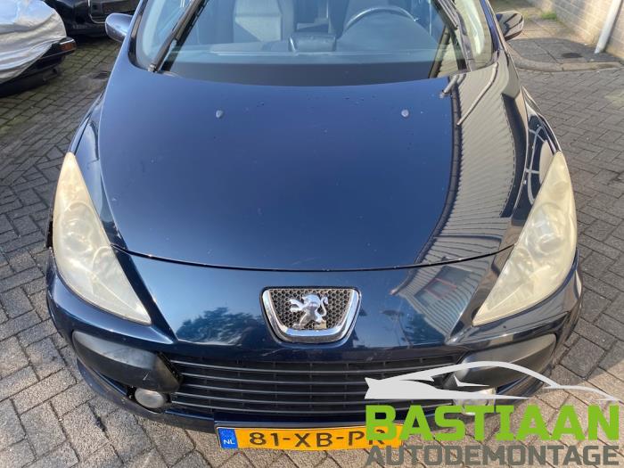 Peugeot 307 1.6 16V Sloopvoertuig (2007, Blauw)