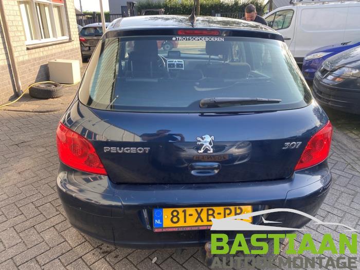 Peugeot 307 1.6 16V Sloopvoertuig (2007, Blauw)