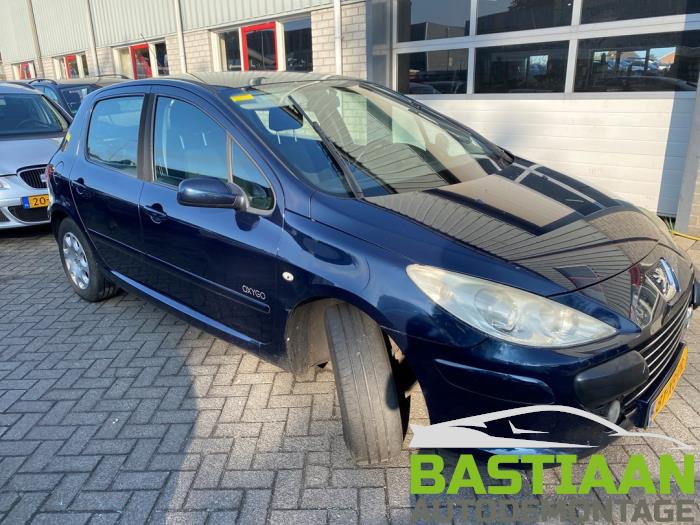 Peugeot 307 1.6 16V Sloopvoertuig (2007, Blauw)