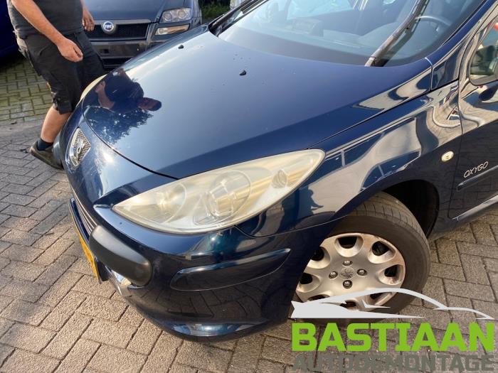 Peugeot 307 1.6 16V Sloopvoertuig (2007, Blauw)