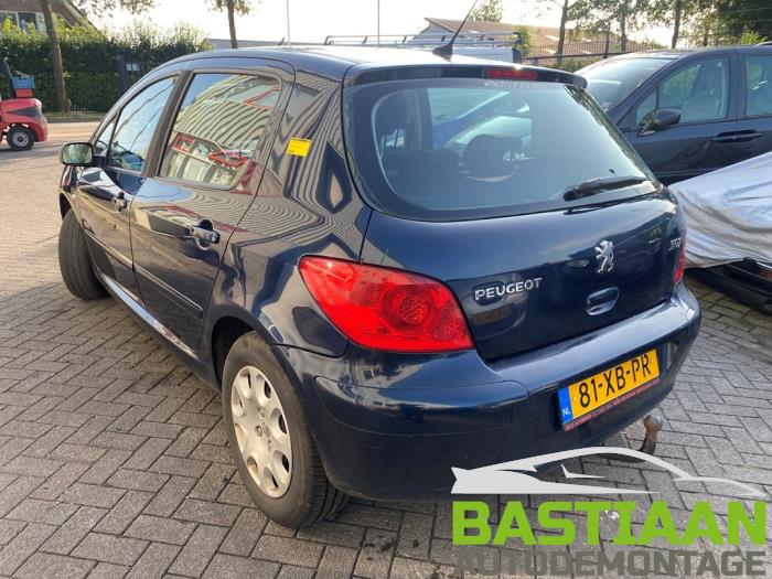 Peugeot 307 1.6 16V Sloopvoertuig (2007, Blauw)