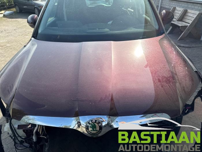 Skoda Yeti 1.2 TSI 16V Sloopvoertuig (2010, Rood)