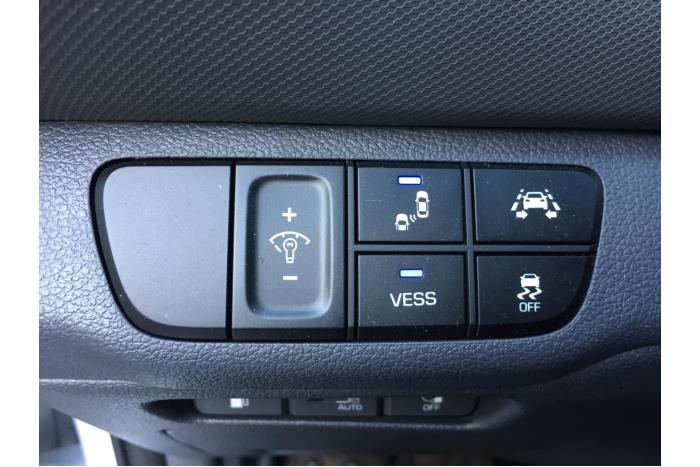 Hyundai Ioniq EV Sloopvoertuig (2018, Wit)