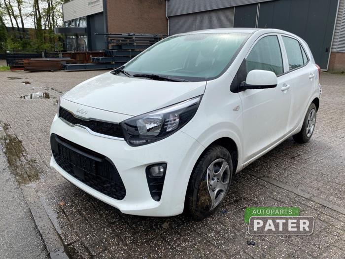 Kia Picanto 1.0 DPi 12V Sloopvoertuig (2023, Wit)