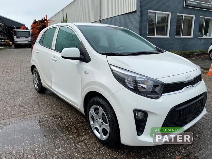 Kia Picanto 1.0 DPi 12V Sloopvoertuig (2023, Wit)