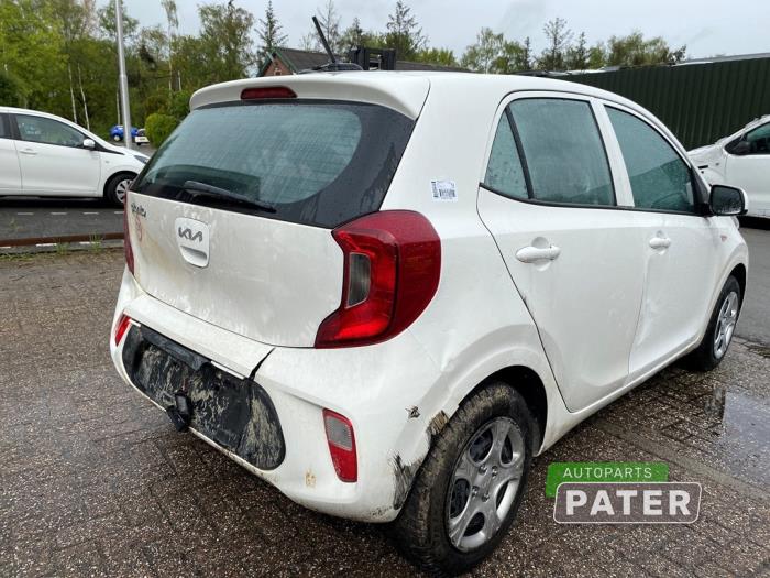 Kia Picanto 1.0 DPi 12V Sloopvoertuig (2023, Wit)