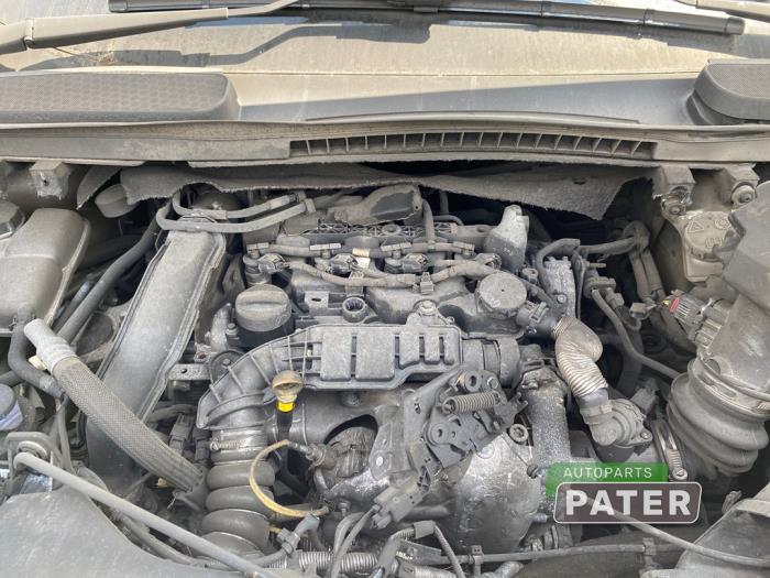 Ford Transit Connect 1.5 EcoBlue Sloopvoertuig (2024, Wit)