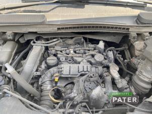 Ford Transit Connect 1.5 EcoBlue Sloopvoertuig (2024, Wit)