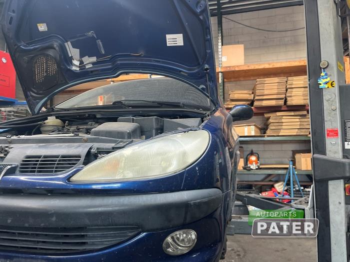 Peugeot 206 1.4 XR,XS,XT,Gentry  (Sloop)