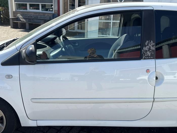 Renault Twingo II 1.2 16V Sloopvoertuig (2009, Wit)