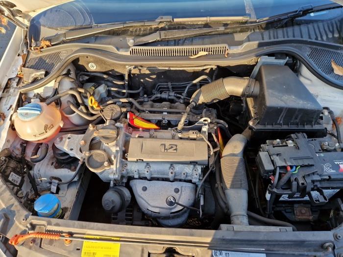 Volkswagen Polo V 1.2 12V Sloopvoertuig (2009, Wit)