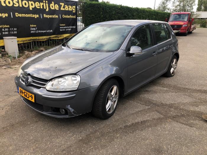 Volkswagen Golf V 1.4 TSI 122 16V Sloopvoertuig (2008, Grijs)