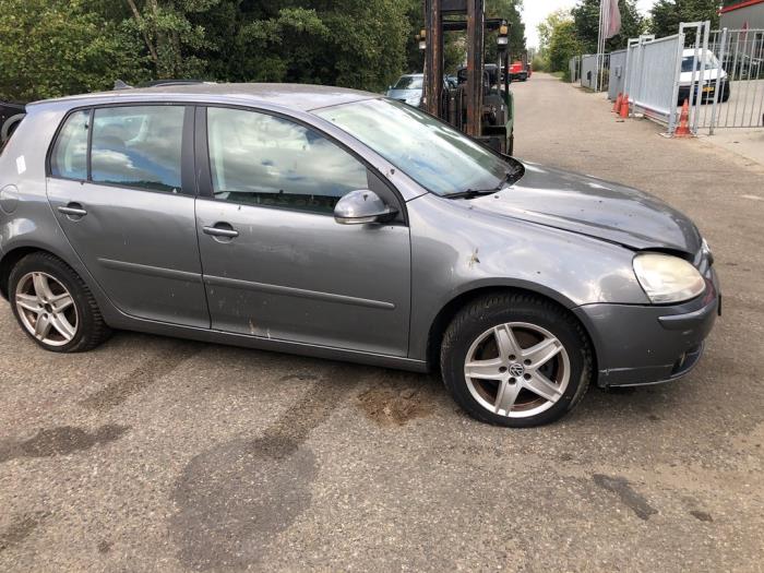 Volkswagen Golf V 1.4 TSI 122 16V Sloopvoertuig (2008, Grijs)
