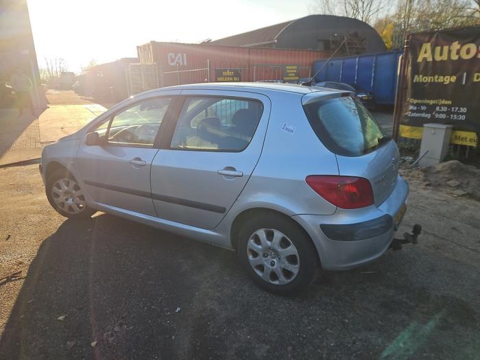 Peugeot 307 1.6 16V Sloopvoertuig (2004, Grijs)