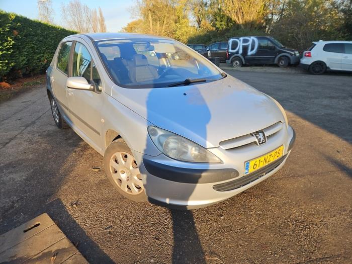 Peugeot 307 1.6 16V Sloopvoertuig (2004, Grijs)