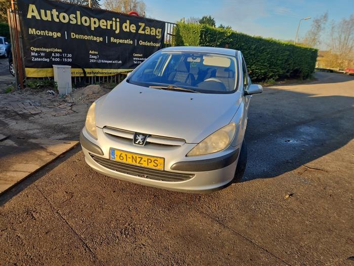 Peugeot 307 1.6 16V Sloopvoertuig (2004, Grijs)