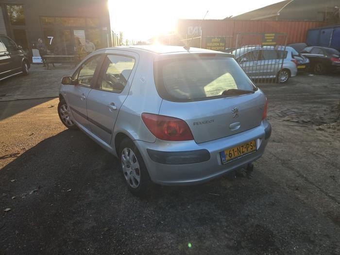 Peugeot 307 1.6 16V Sloopvoertuig (2004, Grijs)