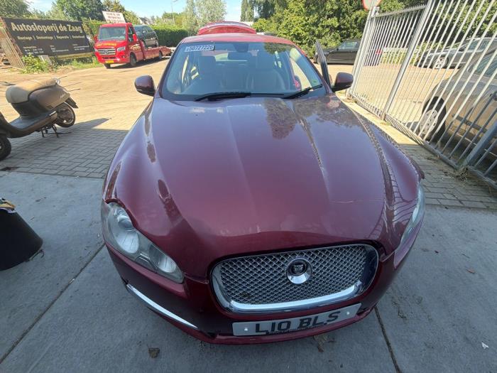 Jaguar XF 3.0 D V6 24V  (Sloop)