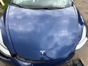 Tesla Model 3 Standard RWD Plus 60 kWh Sloopvoertuig (2019, Blauw)