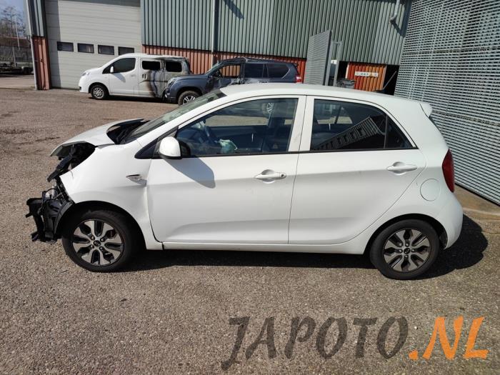 Kia Picanto 1.0 12V Sloopvoertuig (2016, Wit)