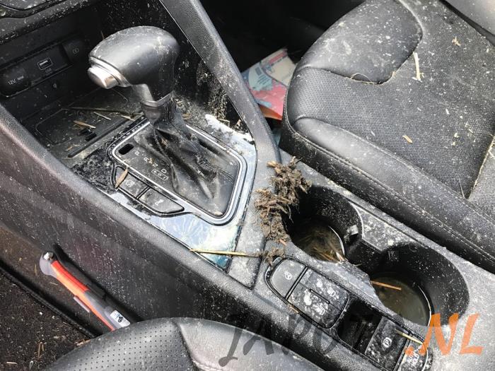 Kia Niro I 1.6 GDI Hybrid Sloopvoertuig (2021, Wit)