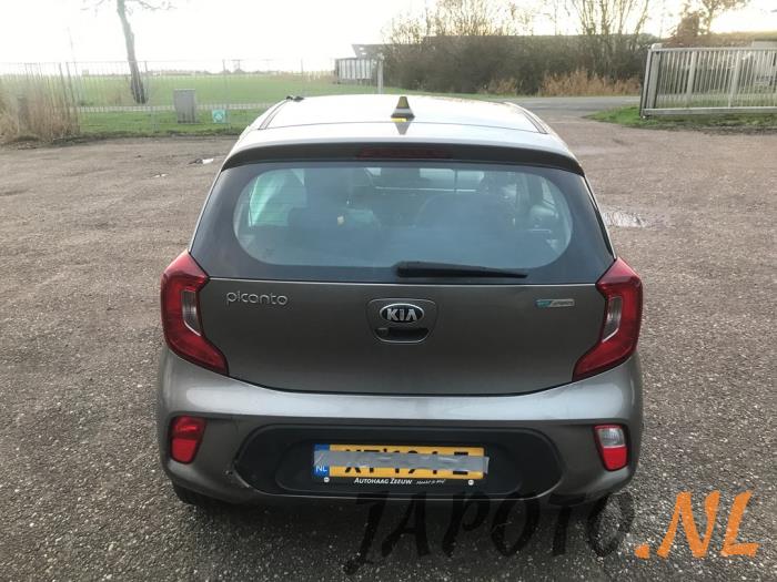 Kia Picanto 1.0 12V Sloopvoertuig (2019, Grijs)
