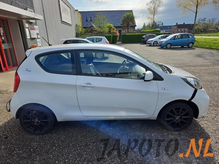 Kia Picanto 1.0 12V Sloopvoertuig (2013, Wit)