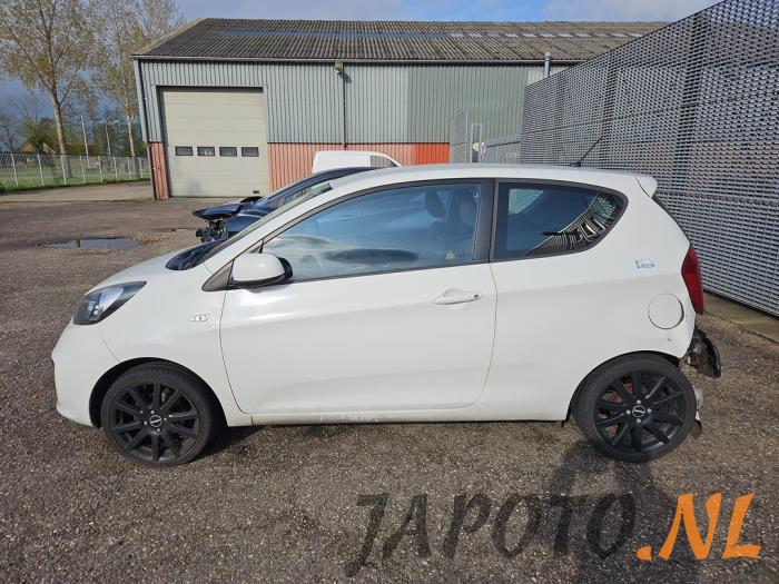 Kia Picanto 1.0 12V Sloopvoertuig (2013, Wit)