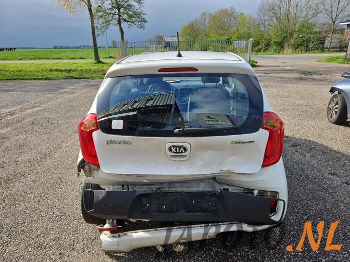 Kia Picanto 1.0 12V Sloopvoertuig (2013, Wit)
