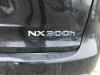 Lexus NX I 300h 2.5 16V 4x4 Sloopvoertuig (2015, Zwart)