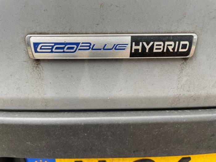 Ford Transit 2.0 TDCi 16V Eco Blue mHEV 170 Sloopvoertuig (2023, Grijs)